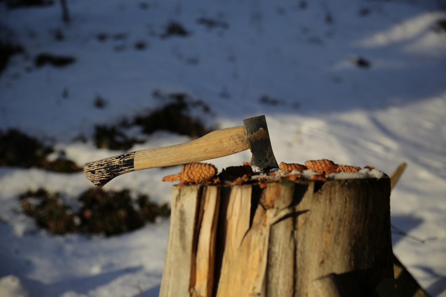 Why I Chose an Off-Grid Lifestyle