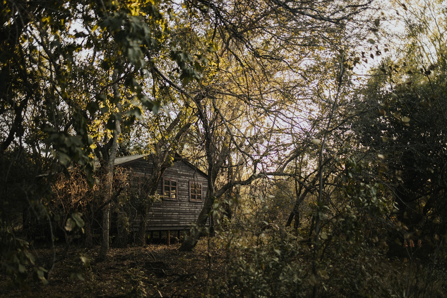 Top Challenges I Faced Living Off-Grid