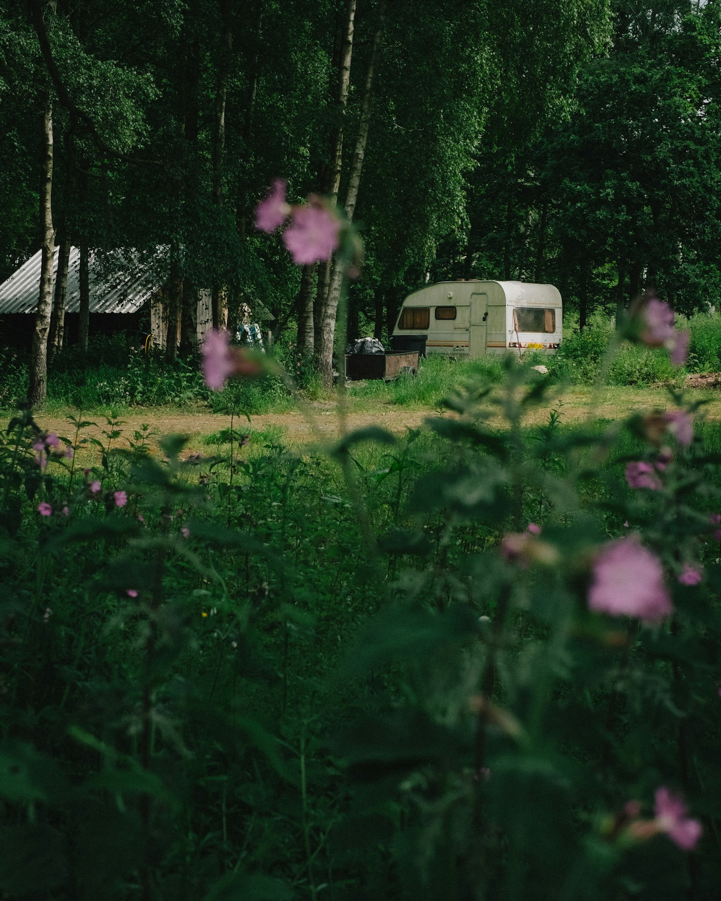 Lessons from My First Year Off the Grid