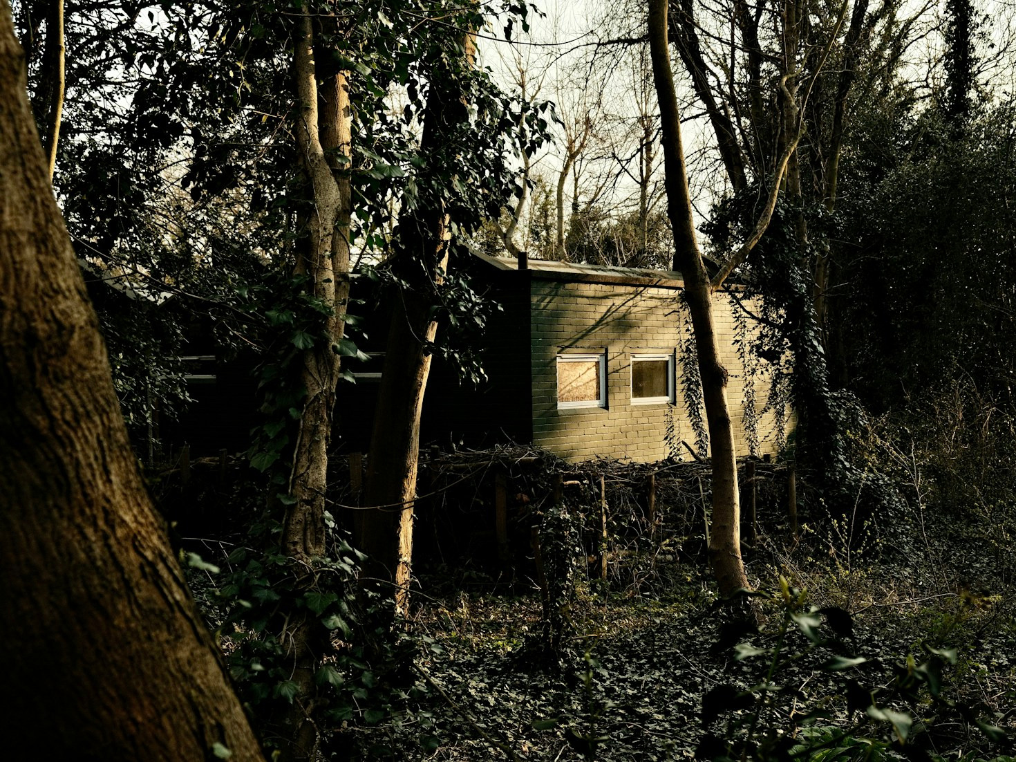 Building a Sustainable Life Off the Grid